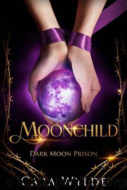 Moonchild: A Reverse Harem Omegaverse Romance (Dark Moon Prison Book 1) by Cara Wylde