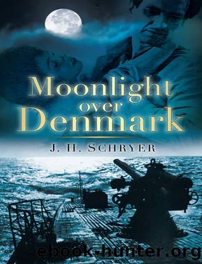 Moonlight Over Denmark by J H Schryer