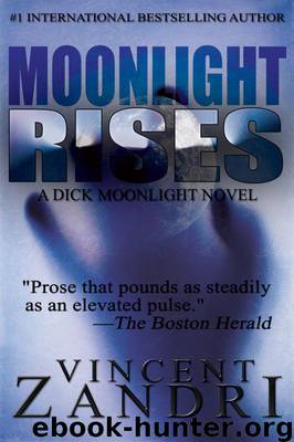 Moonlight Rises by Vincent Zandri