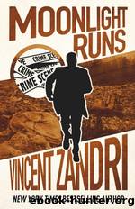 Moonlight Runs by Vincent Zandri