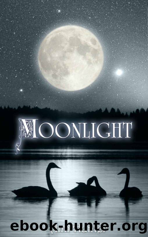 Moonlight by Ann Hunter
