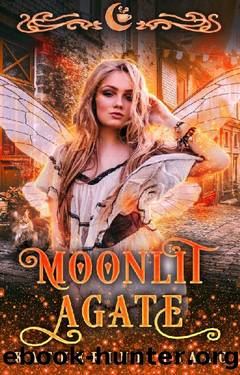 Moonlit Agate: A Paranormal Small Town Romance (Moonlit Falls Book 8) by Katherine Isaac & Moon Dust Library