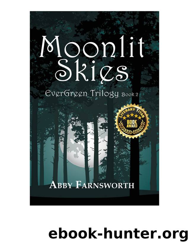 Moonlit Skies by Abby Farnsworth