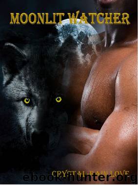 Moonlit Watcher (Moonlit Novella #2) by Crystal-Rain Love