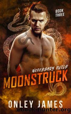 Moonstruck (Necessary Evils Book 3) by Onley James