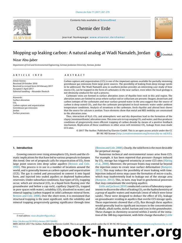 Mopping up leaking carbon: A natural analog at Wadi Namaleh, Jordan by Nizar Abu-Jaber