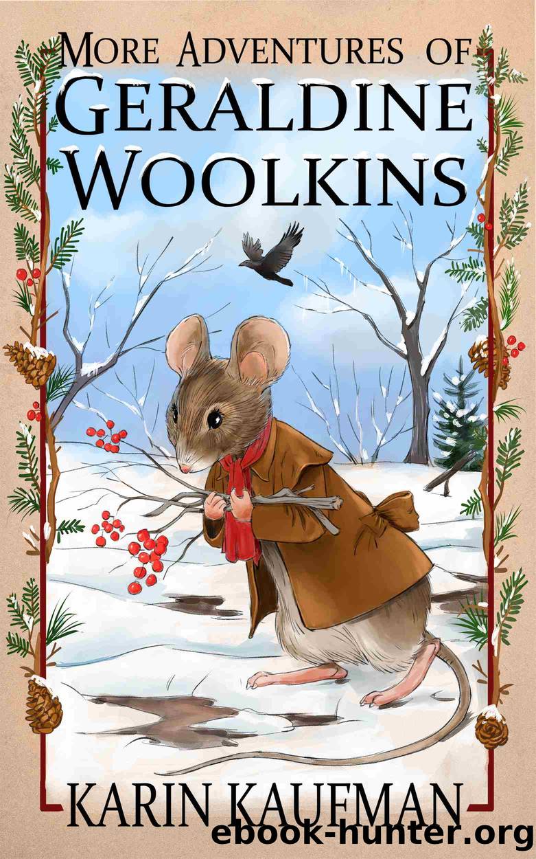 More Adventures of Geraldine Woolkins by Karin Kaufman
