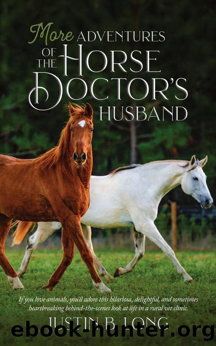 More Adventures of the Horse Doctor's Husband by Justin B. Long