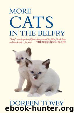 More Cats in the Belfry by Tovey Doreen