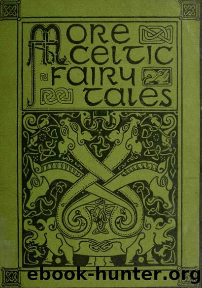 More Celtic Fairy Tales (1895) by Unknown