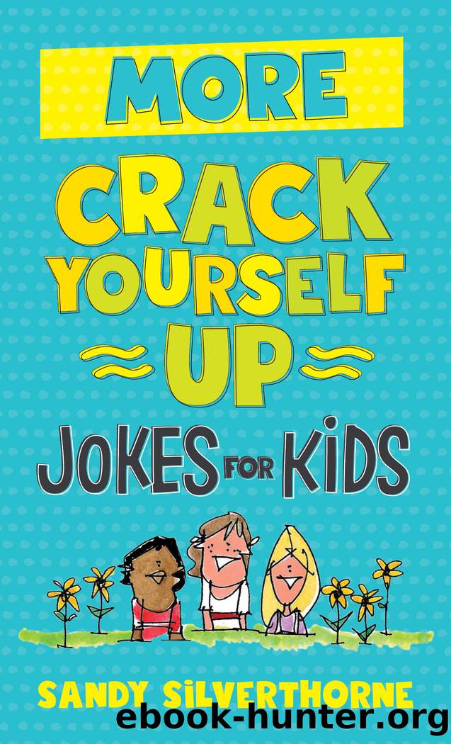 More Crack Yourself Up Jokes for Kids by Sandy Silverthorne