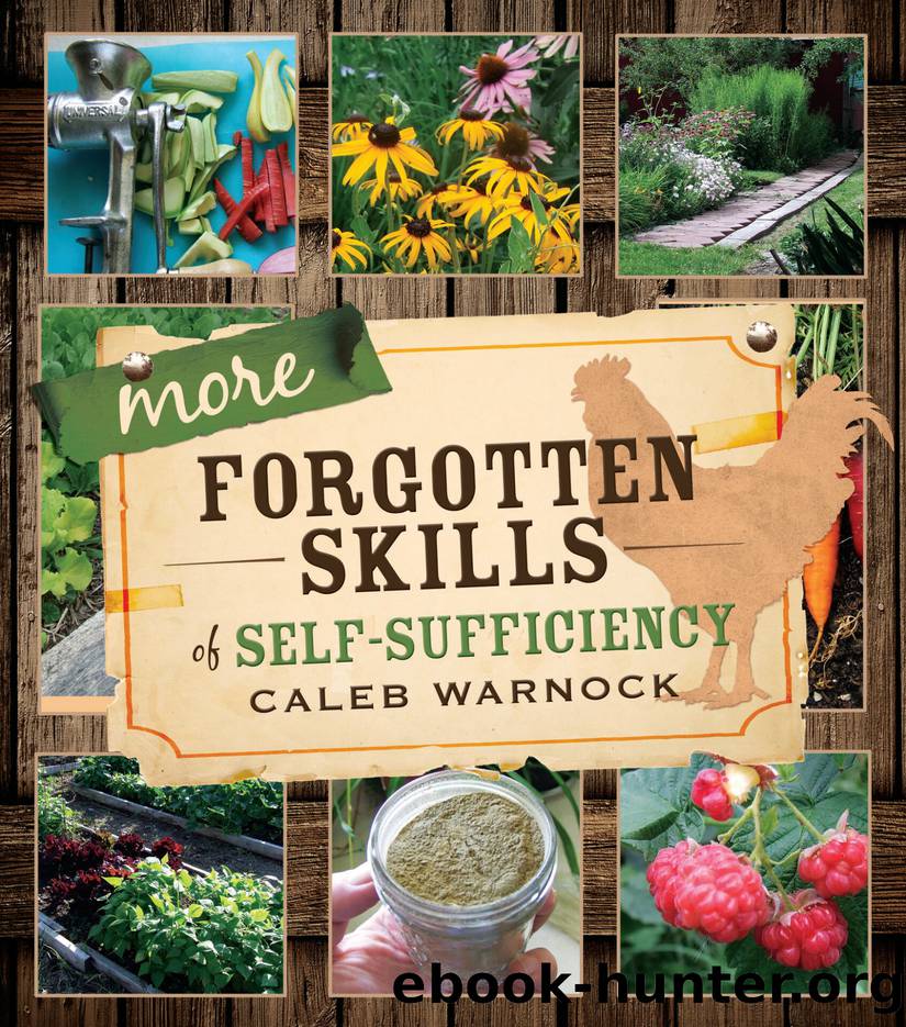 More Forgotten Skills of Self-Sufficiency (Forgotten Skills of Self-Reliance Series by Caleb Warnock Book 2) by Caleb Warnock