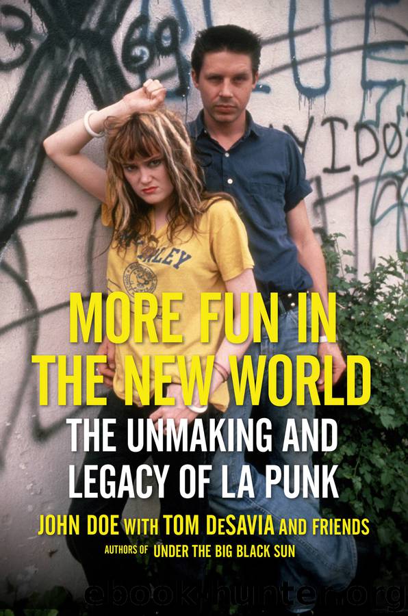 More Fun in the New World by John Doe & Tom Desavia