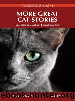 More Great Cat Stories by Roxanne Willems Snopek