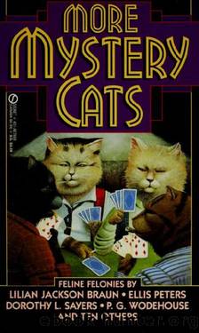 More Mystery Cats by Cynthia Manson