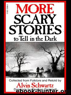 More Scary Stories to Tell in the Dark by Alvin Schwartz & Stephen Gammell