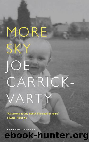 More Sky by Joe Carrick-Varty