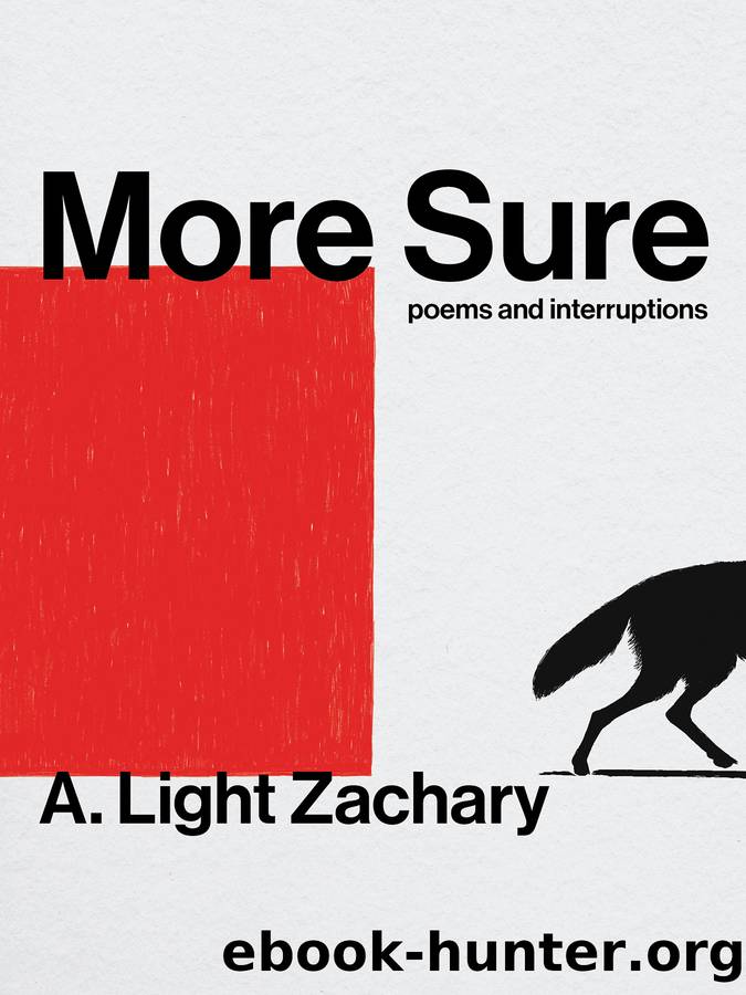 More Sure by A. Light Zachary