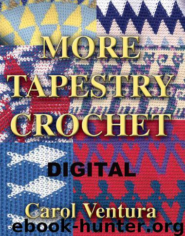 More Tapestry Crochet: Digital by Ventura Carol