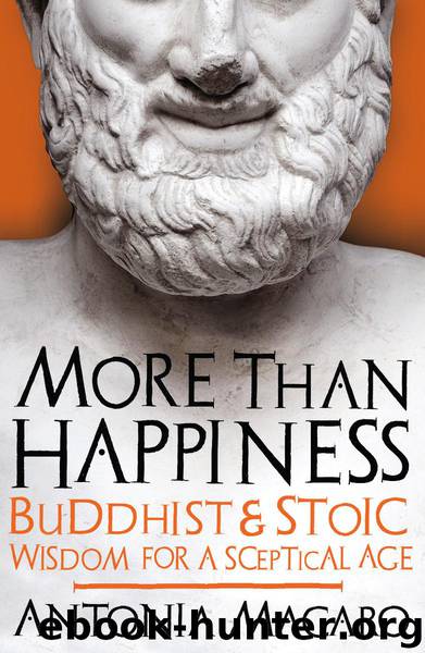 More Than Happiness by Antonia Macaro