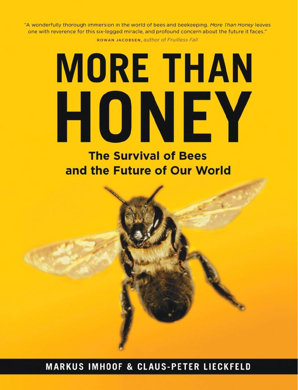 More Than Honey : The Survival of Bees and the Future of Our World by Imhoof Markus; Lieckfeld Claus-Peter