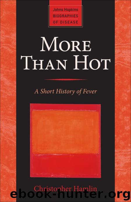 More Than Hot by Christopher Hamlin