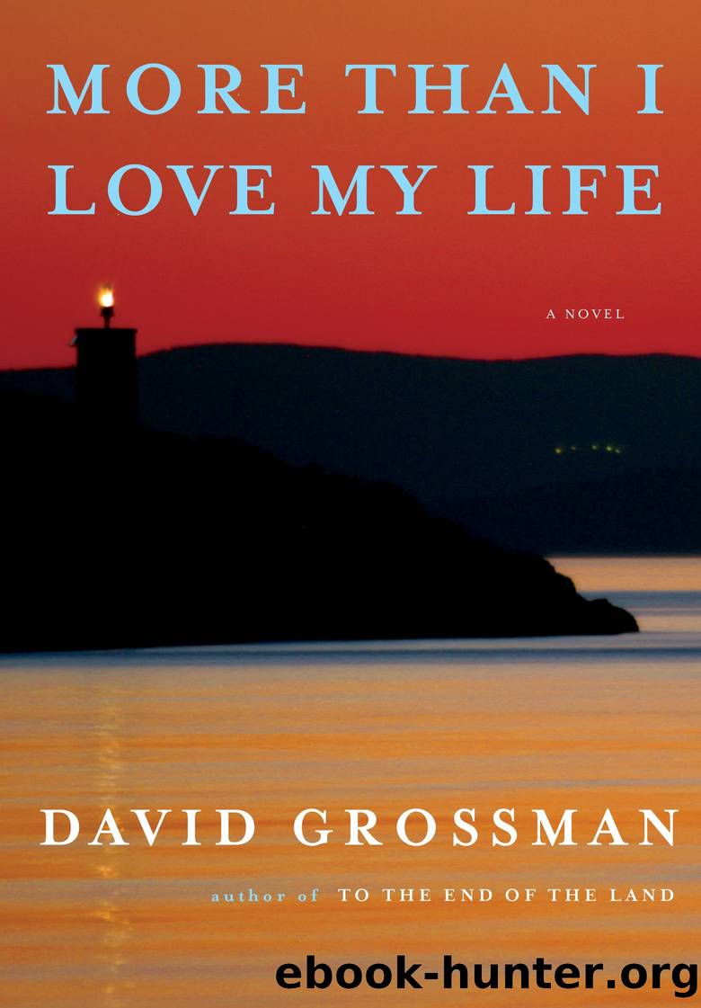 More Than I Love My Life by David Grossman