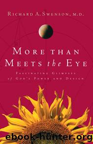 More Than Meets the Eye by Richard Swenson