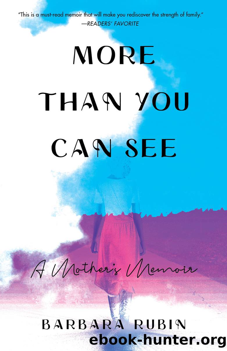More Than You Can See by Barbara Rubin