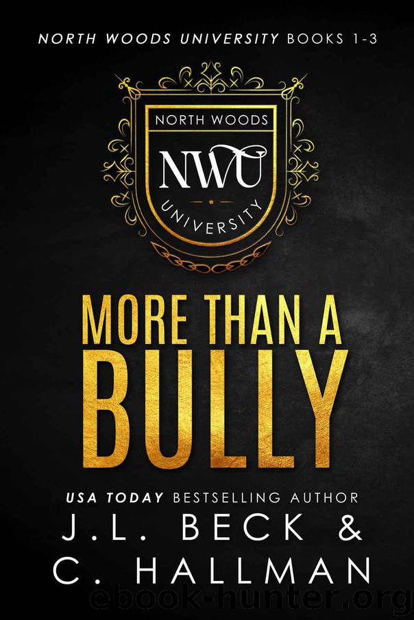 More Than a Bully by Beck J.L. & Hallman Cassandra