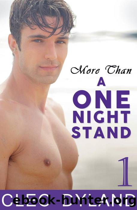 More Than a One Night Stand - Part 1 by Cleo Dyland