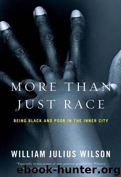 More than Just Race by William Julius Wilson
