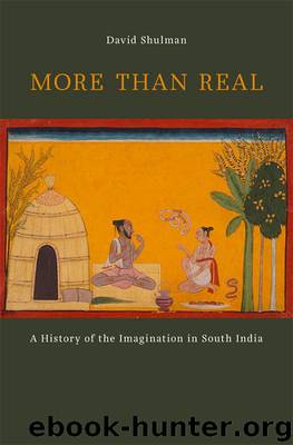 More than Real by David Shulman