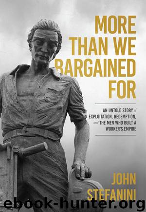 More than We Bargained For by John Stefanini