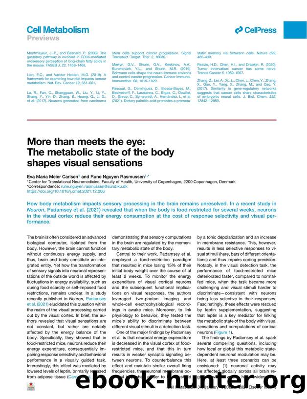 More than meets the eye: The metabolic state of the body shapes visual sensations by Eva Maria Meier Carlsen & Rune Nguyen Rasmussen