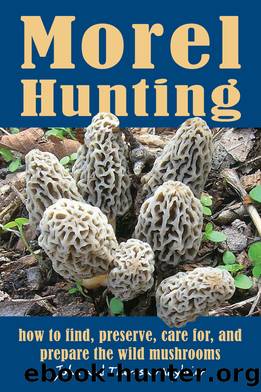 Morel Hunting by John Maybrier