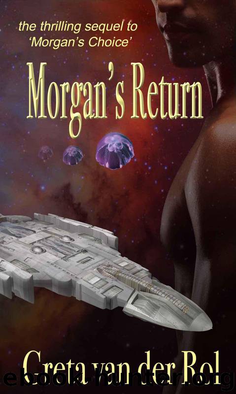Morgan's Return by Greta van der Rol