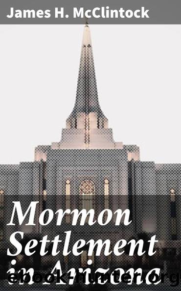 Mormon Settlement in Arizona by James H. McClintock