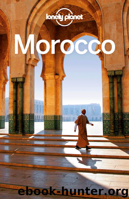 Morocco Travel Guide by Lonely Planet