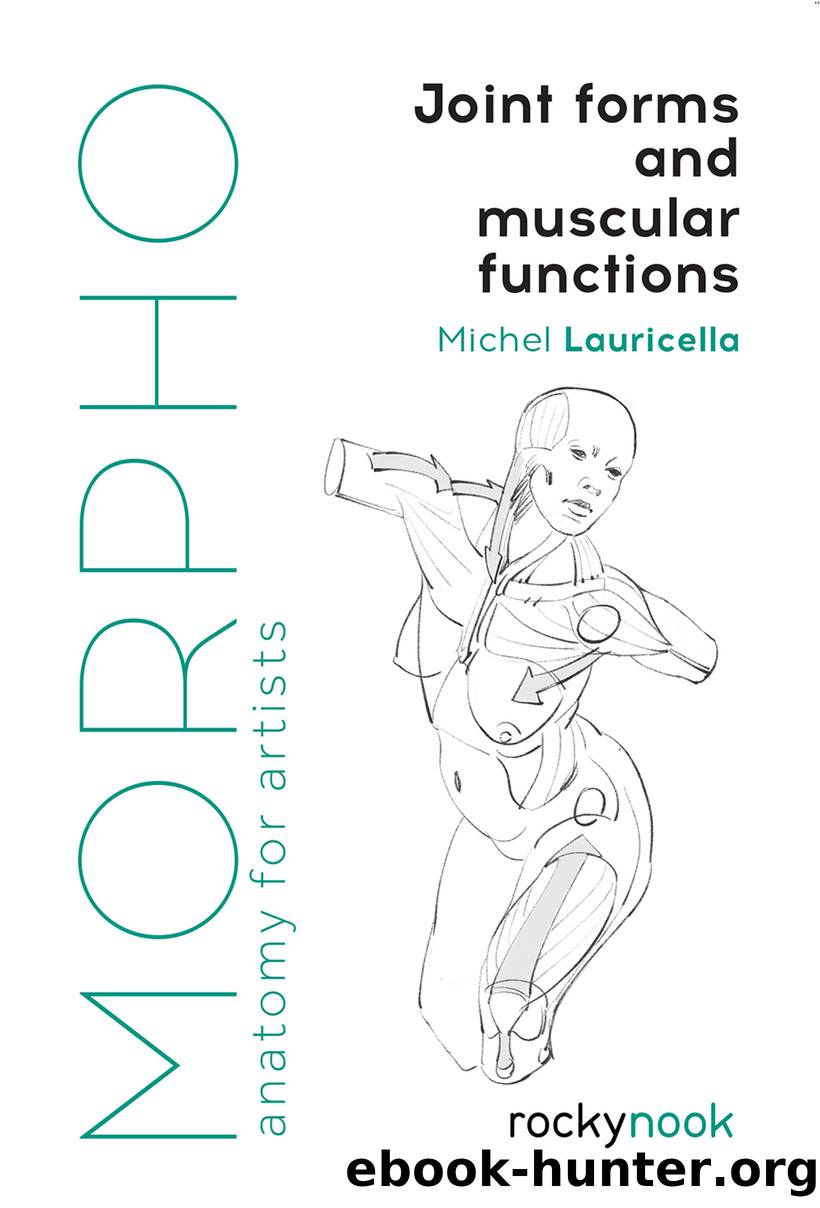 Morpho: Joint Forms and Muscular Functions by Michel Lauricella