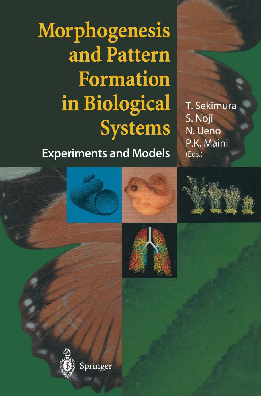 Morphogenesis and Pattern Formation in Biological Systems: Experiments and Models by unknow