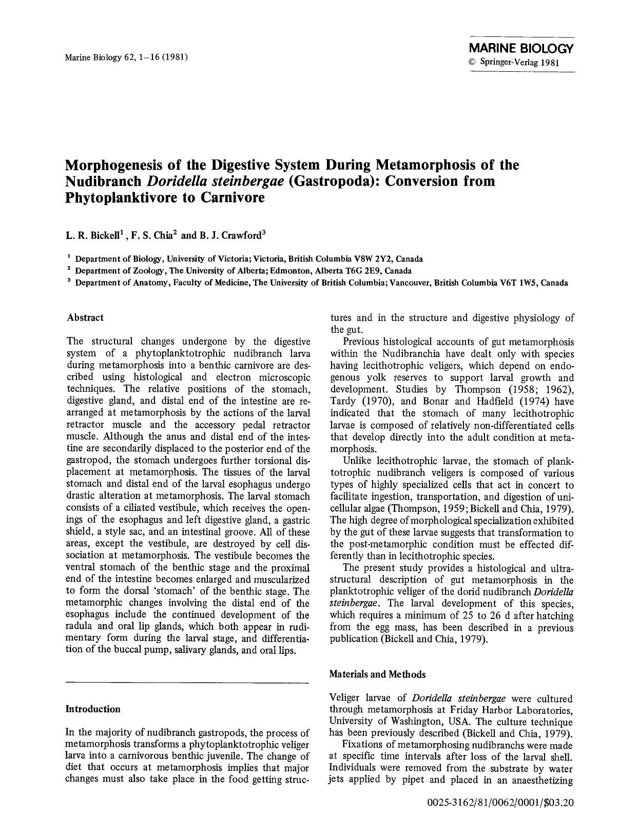 Morphogenesis of the digestive system during metamorphosis of the nudibranch <Emphasis Type="Italic">Doridella steinbergae<Emphasis> (Gastropoda): Conversion from phytoplanktivore to carnivore by Unknown