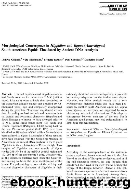 Morphological Convergence in Hippidion and Equus (Amerhippus) South American Equids Elucidated by Ancient DNA Analysis by Orlando L. et al