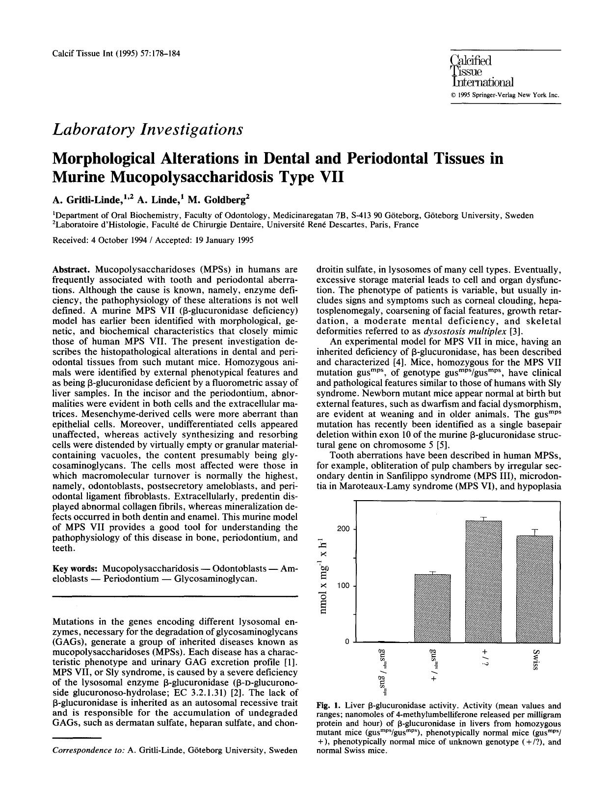 Morphological alterations in dental and periodontal tissues in murine mucopolysaccharidosis type VII by Unknown