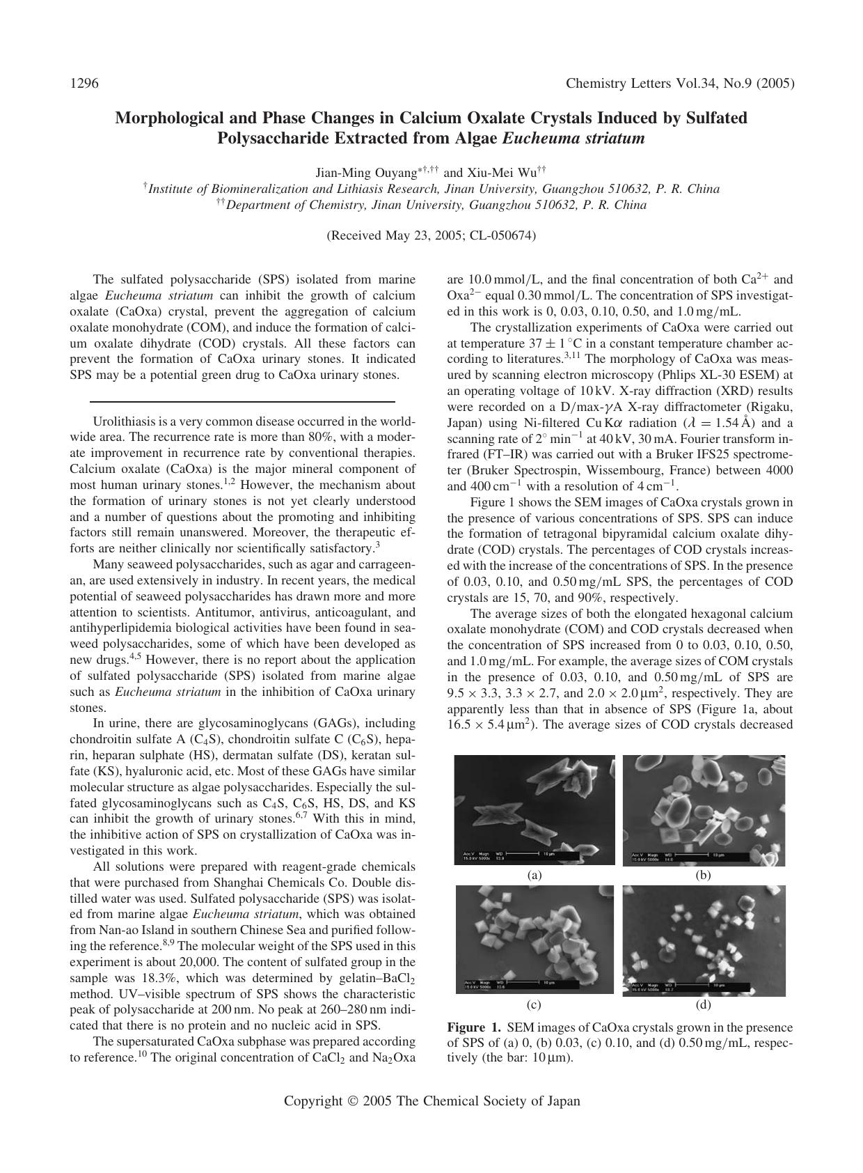 Morphological and Phase Changes in Calcium Oxalate Crystals Induced by Sulfated Polysaccharide Extracted from Algae Eucheuma striatum by Jian-Ming Ouyang and Xiu-Mei Wu