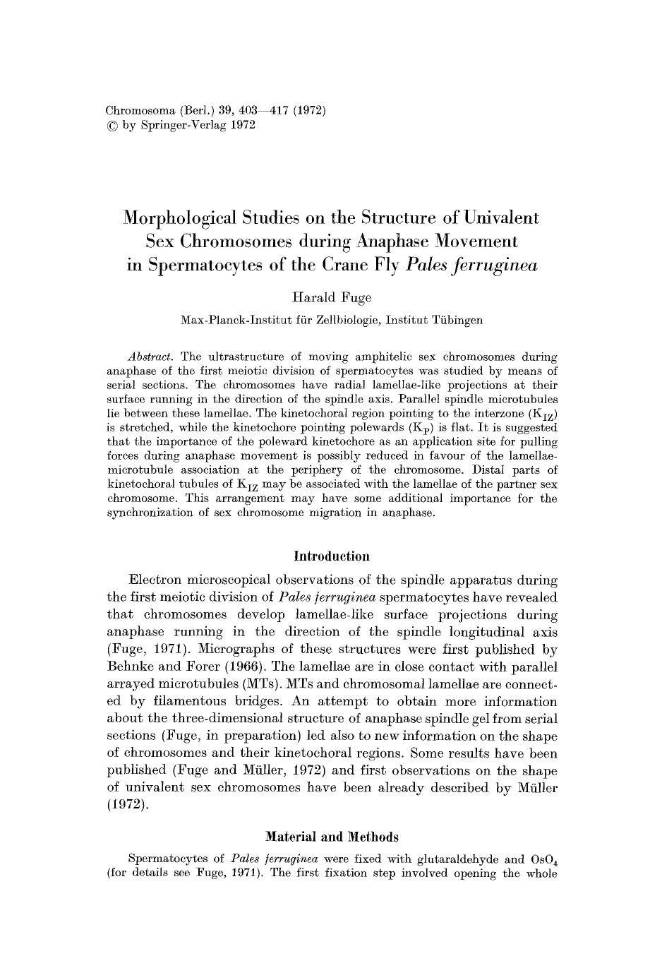 Morphological studies on the structure of univalent sex chromosomes during anaphase movement in spermatocytes of the crane fly <Emphasis Type="Italic">Pales ferruginea<Emphasis> by Unknown