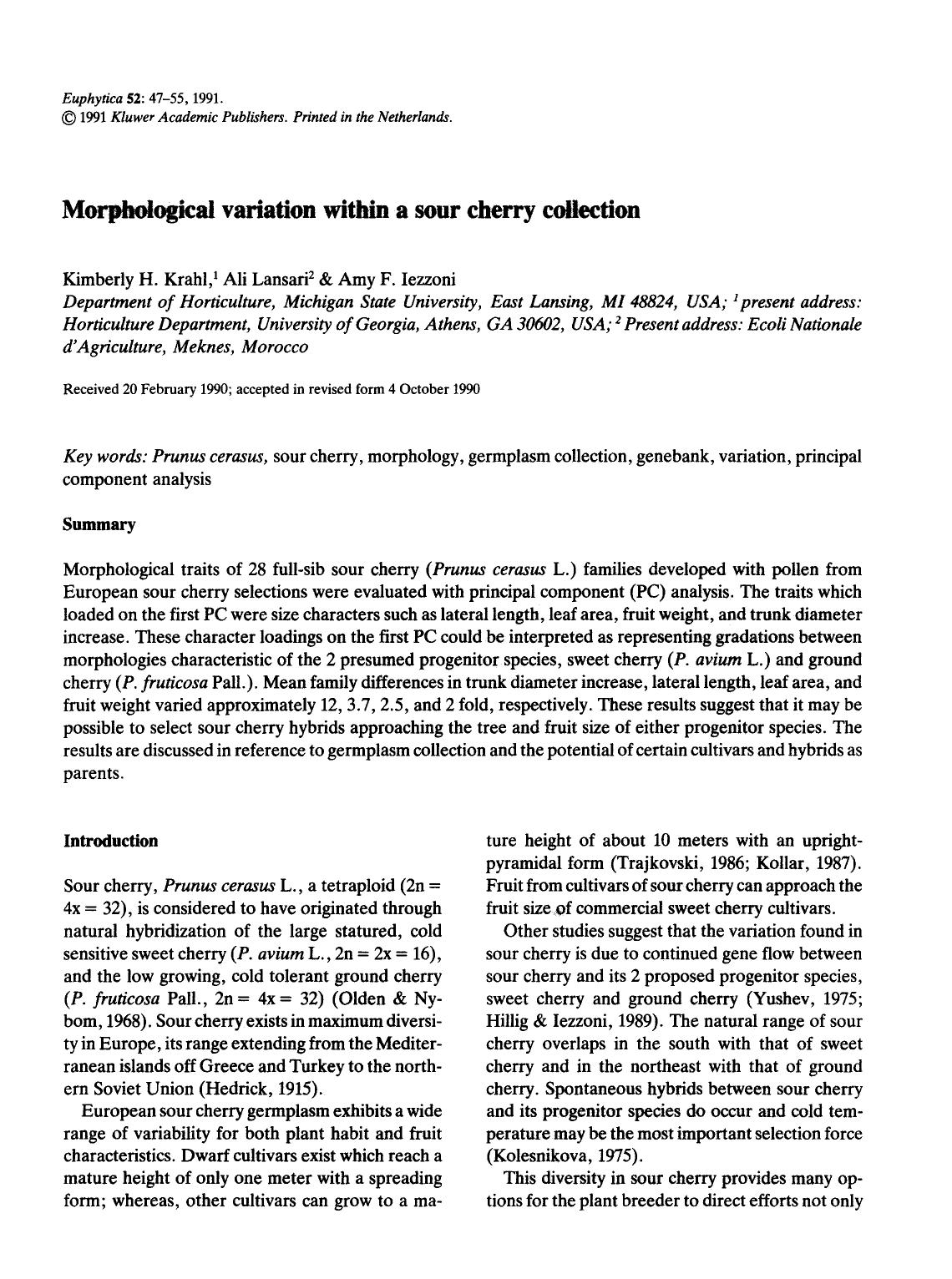 Morphological variation within a sour cherry collection by Unknown