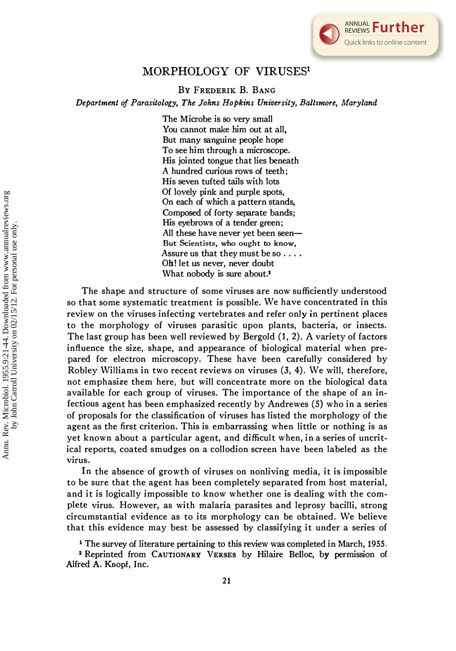 Morphology of Viruses by F B Bang