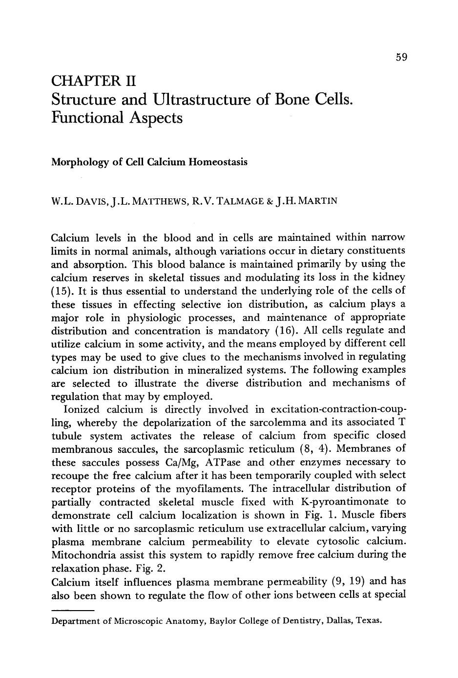 Morphology of cell calcium homeostasis by Unknown