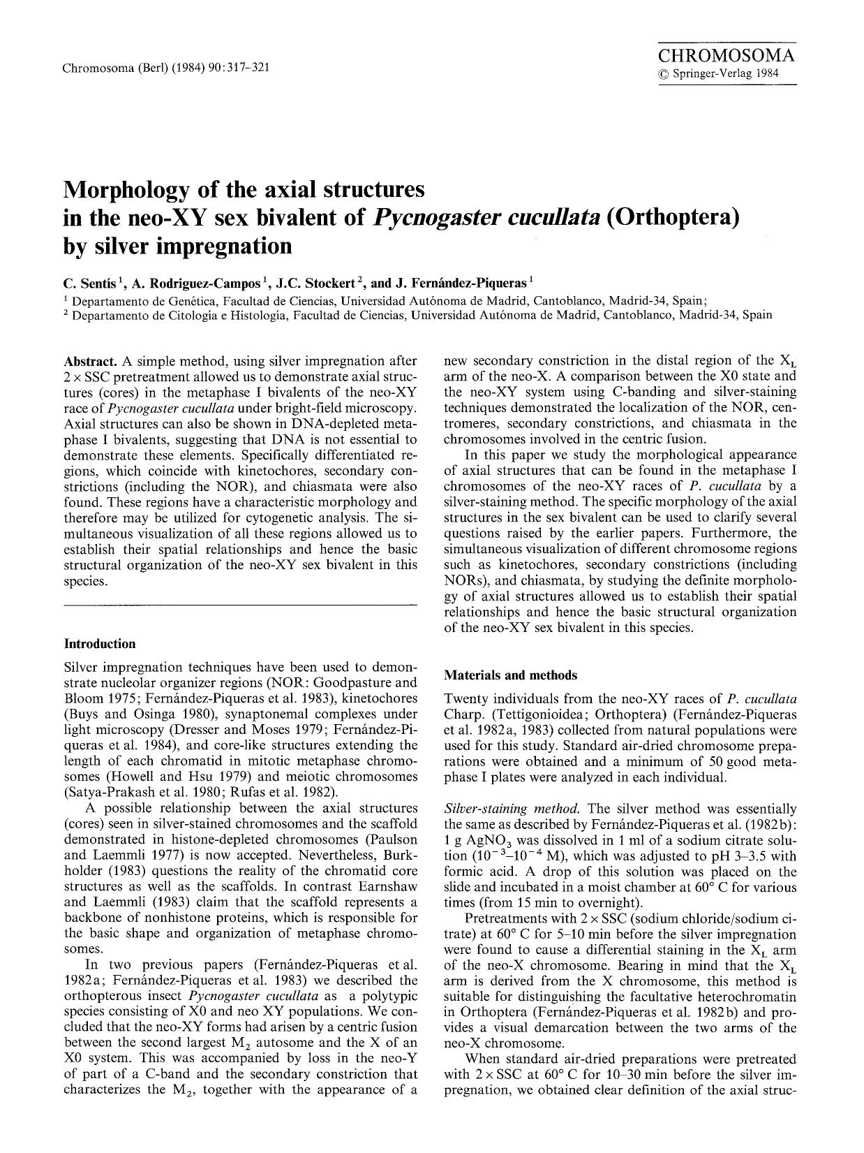 Morphology of the axial structures in the neo-XY sex bivalent of <Emphasis Type="Italic">Pycnogaster cucullata<Emphasis> (Orthoptera) by silver impregnation by Unknown